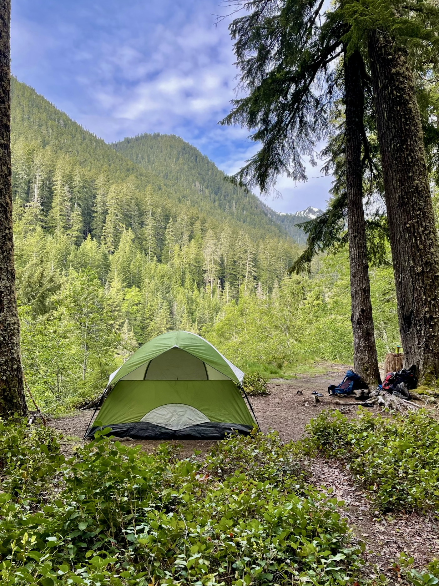 Olympic National Park